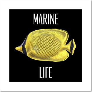 Marine life Posters and Art